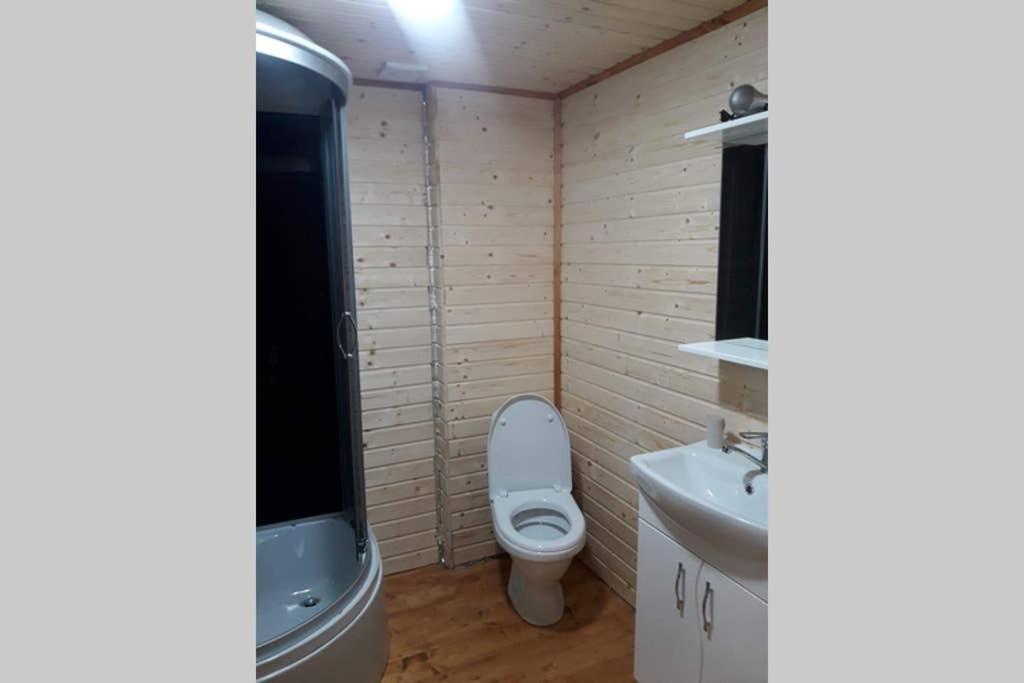 Номер 6 Садиба У Ані Synevyrsʼka Polyana Exterior foto